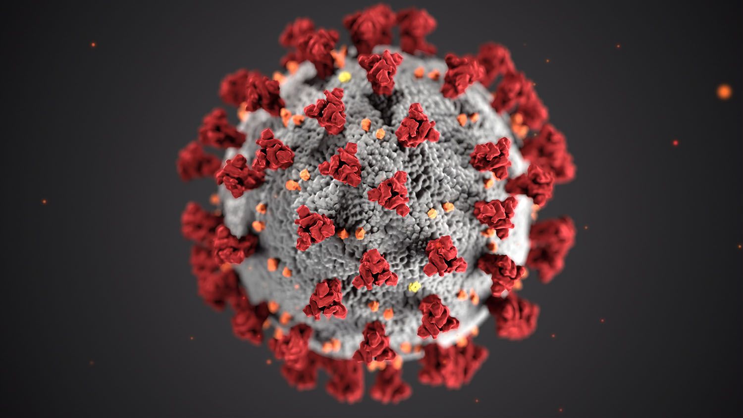Coronavirus, gravidanza e allattamento